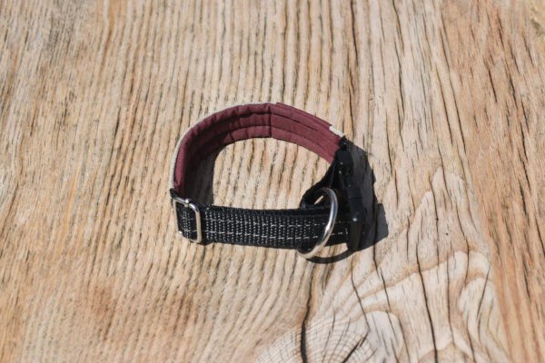 VESTA Hundhalsband Storlek S Röd